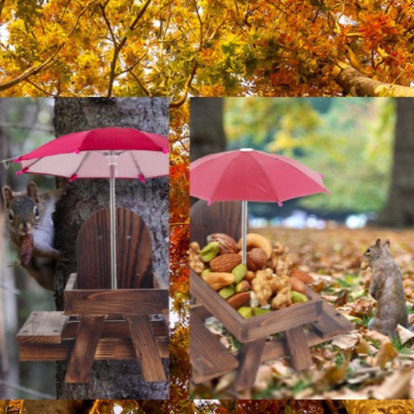 Squirrel & Chipmunk Miniature Wooden Picnic Table - Feeder w/ Removable Umbrella - Picture 8 of 10